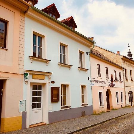 Penzion Laterna Litoměřice エクステリア 写真